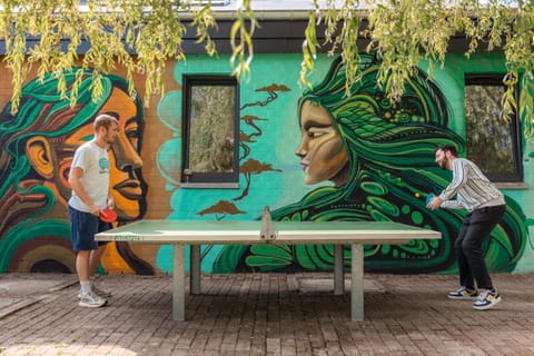 Day, People, Table tennis, Sports, group of guests