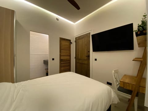 Bed, TV and multimedia, Photo of the whole room, Bedroom, fireplace, wardrobe