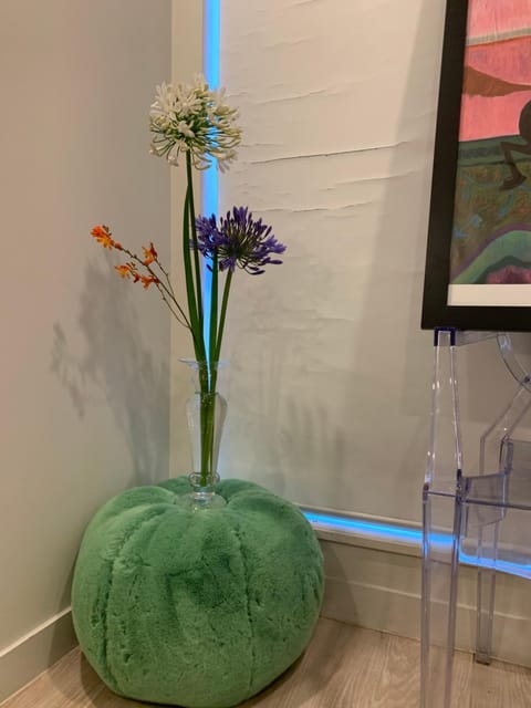 Sky Stars Essential Reserve Apartment in Auckland