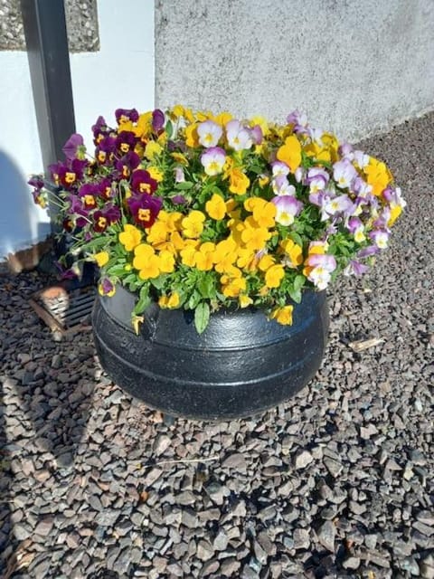 Bramble Cottage House in Northern Ireland