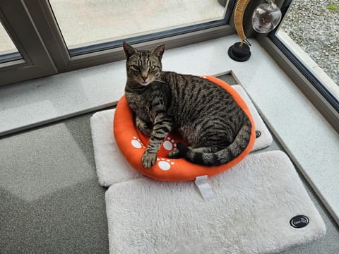 Suaimhneas Country House in County Clare