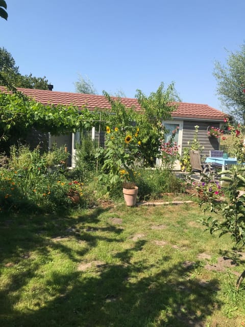 Property building, Garden