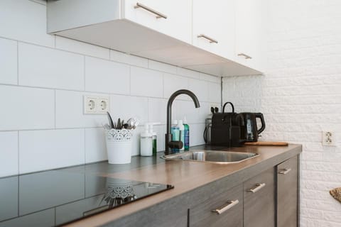 Toekomst 27 - Ouddorp NOT INTENDED FOR COMPANY OR WORK-RELATED STAYS House in Ouddorp