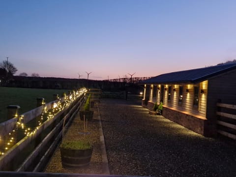 Cozies Cabin Cabin in Northern Ireland