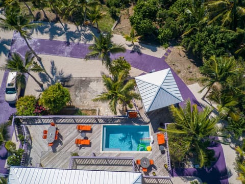Bird's eye view, Swimming pool, sunbed