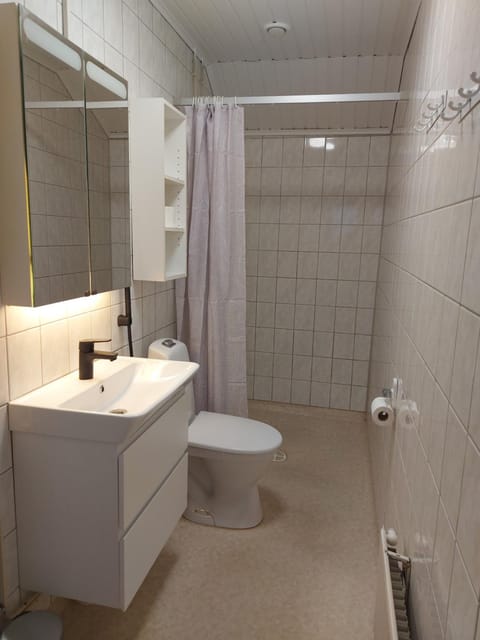 Shower, Toilet, Bathroom, bidet