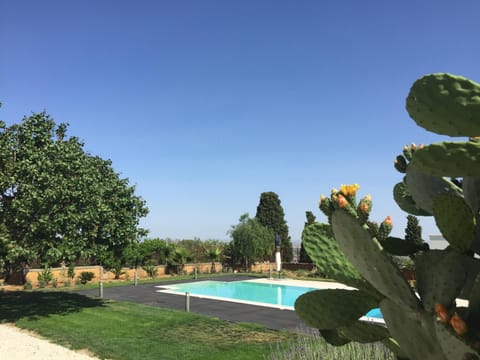 Pool view