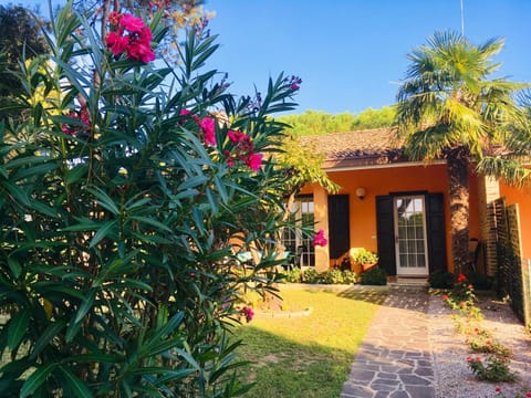 Property building, Garden, Garden view