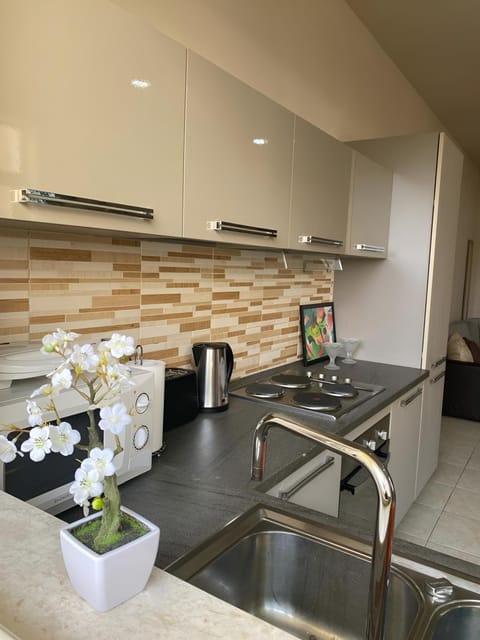 Coffee/tea facilities, minibar, pet friendly, kitchen