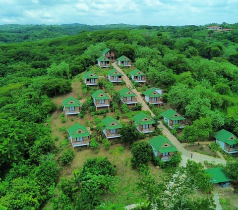 Natural landscape, Bird's eye view