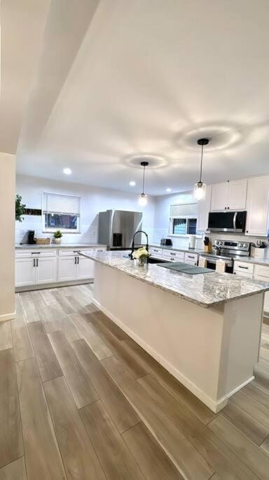 Kitchen or kitchenette, dishwasher, minibar, pet friendly, stove