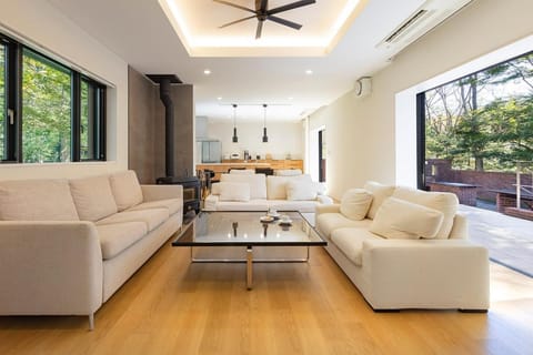Living room, Seating area, fireplace