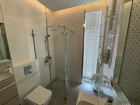 Shower, Toilet, Bathroom, towels