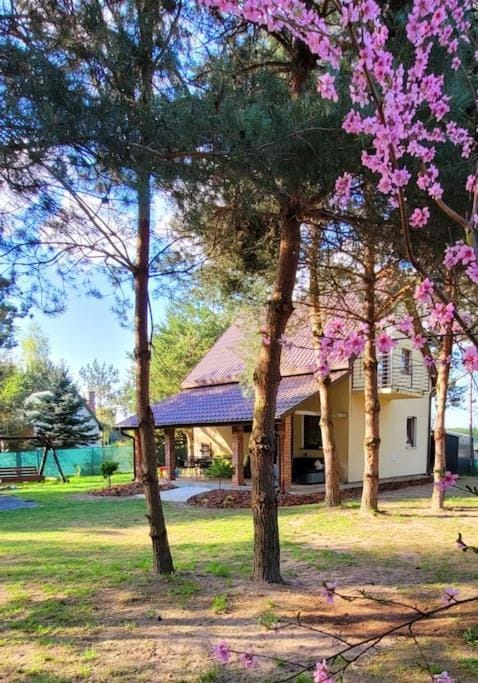 Property building, Spring, Day, Natural landscape, Garden, Garden view