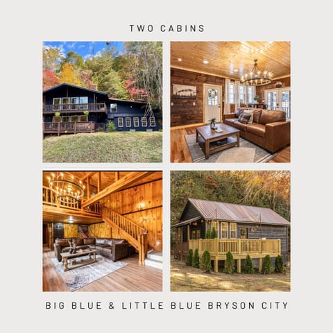 Big Blue Cabins Cabin in Fontana Lake
