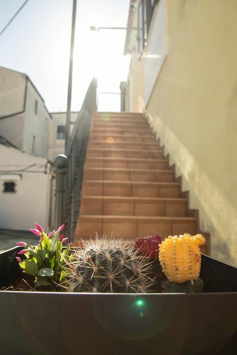 Dimora cAmelia Apartment in Province of Foggia