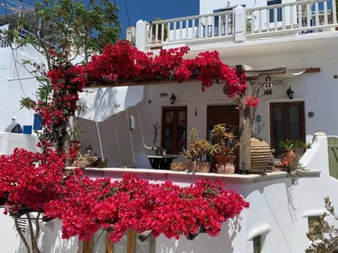 Facade/entrance, Balcony/Terrace