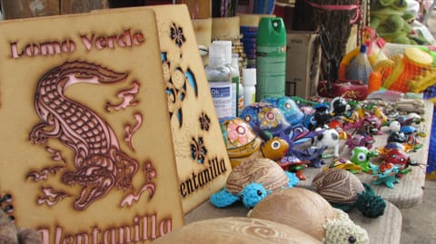 La Casa Del Profe Salo Hotel in State of Oaxaca