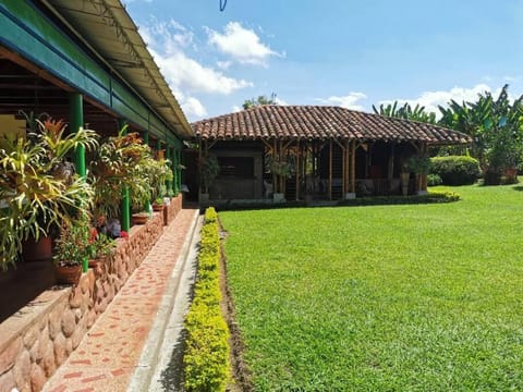 Patio, Natural landscape, Garden view