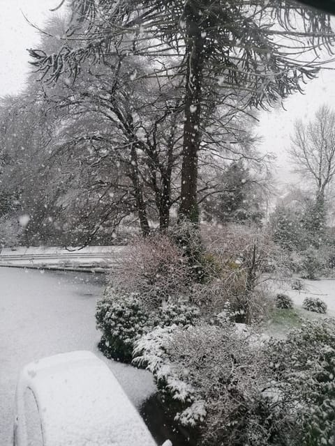 The Beeches Apartment in Newry