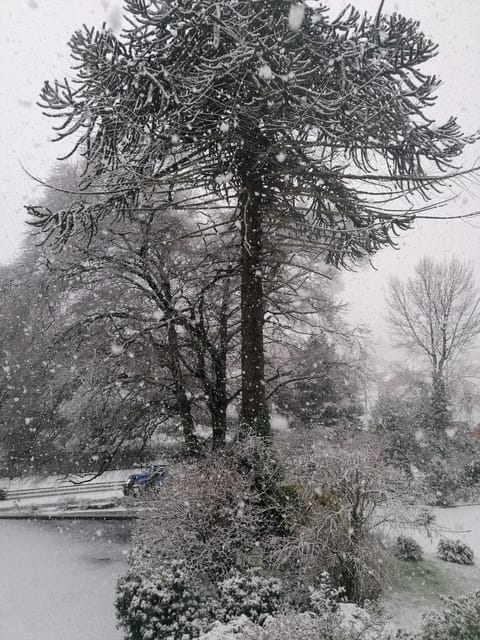 The Beeches Apartment in Newry