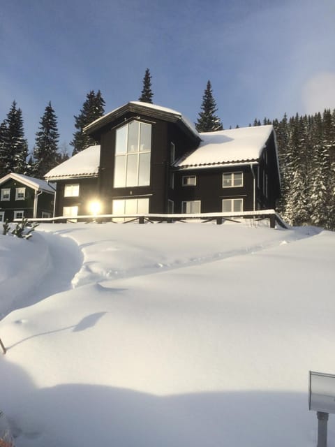 Property building, Facade/entrance, Winter