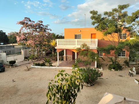 Property view