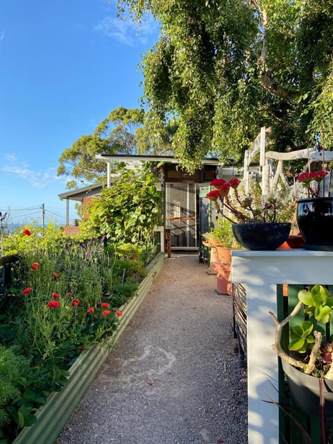 Bilbos Cottage at Little Bird Villa in Smithton