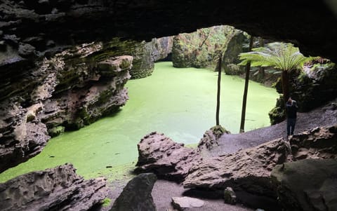 Bilbos Cottage at Little Bird Villa in Smithton