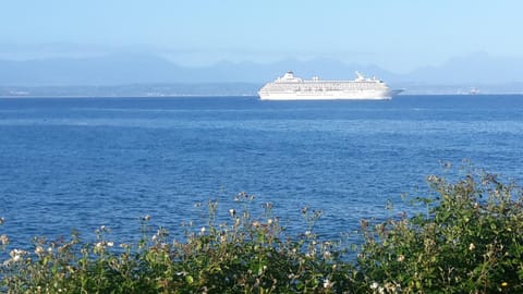 Sea view
