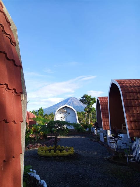 Property building, Day, Garden view