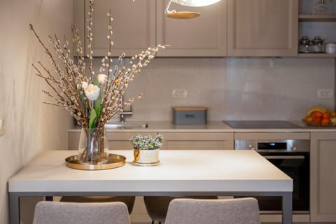 Kitchen or kitchenette, Dining area, stove