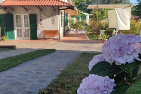 Casa Rosi, in campagna, relax tra mare e montagna Apartment in Sarzana