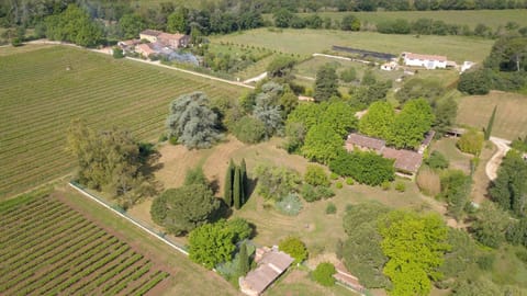 Natural landscape, Bird's eye view, Garden view