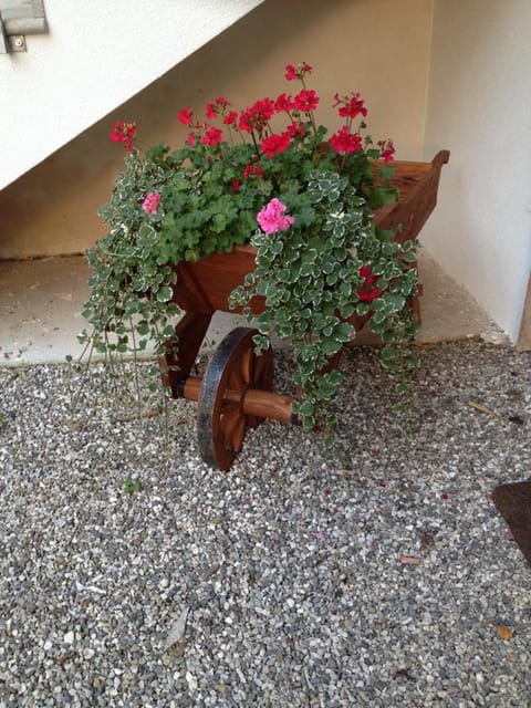 Farmstay Alloggio Cort di Branc Farm Stay in Friuli-Venezia Giulia