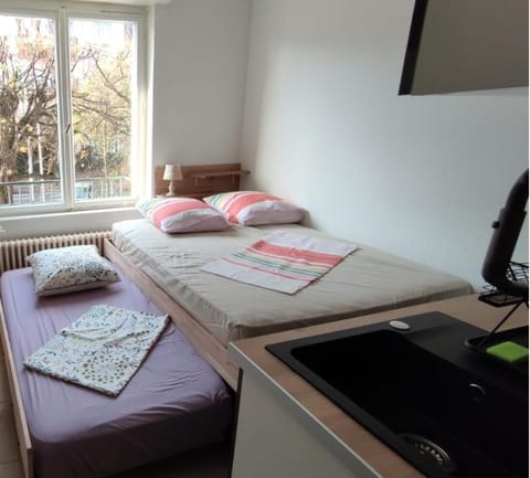 IMMOSTRASBOURG - Orangerie - hébergements classés proche centre et Conseil d'Europe Apartment in Strasbourg