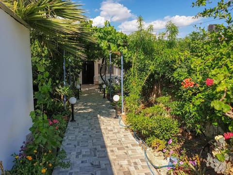 Patio, Garden