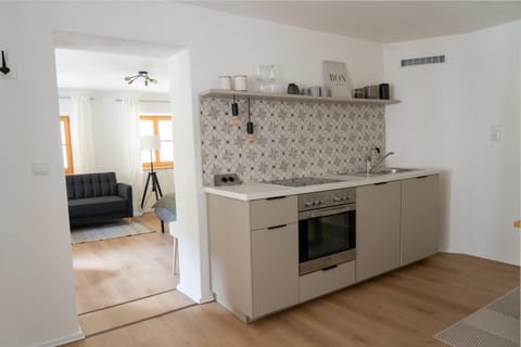 Kitchen or kitchenette, kitchen