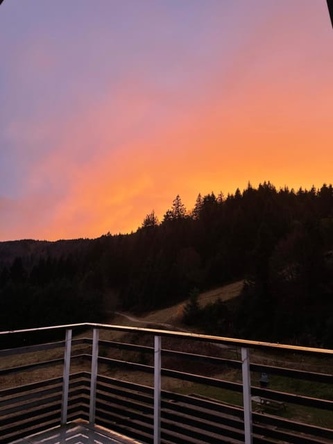 Beau duplex vue sur le Lac Blanc Apartment in Orbey