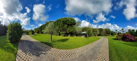 Day, Garden, Garden, Garden view