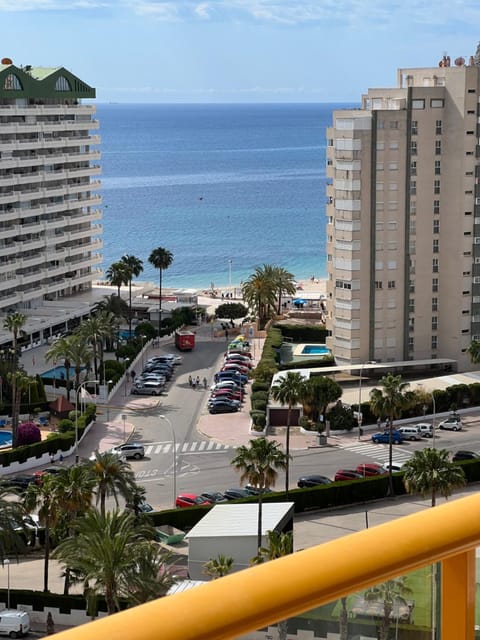 Property view