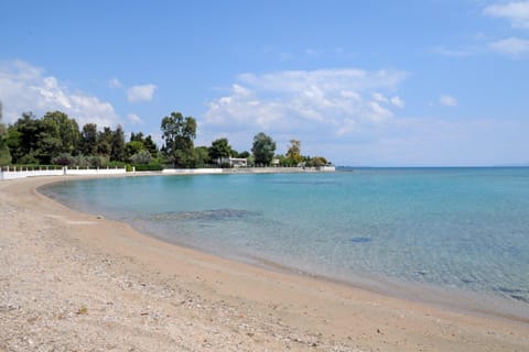Nearby landmark, Natural landscape, Beach