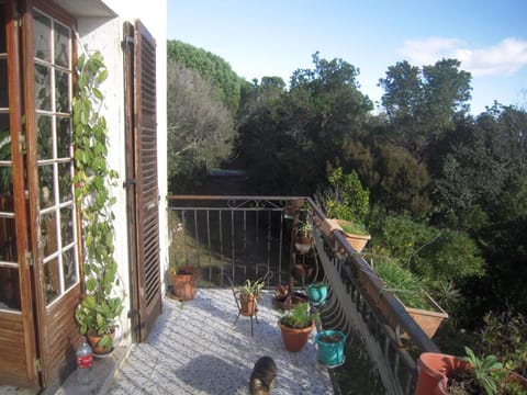 Spring, Balcony/Terrace