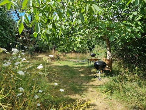 Garden, Garden view