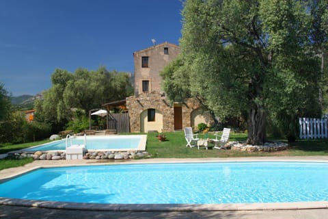 Garden, Pool view, Swimming pool, sunbed