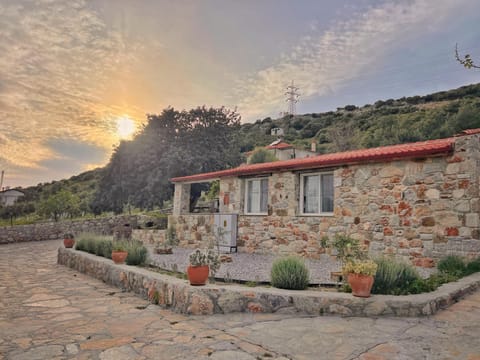 Property building, Day, Natural landscape
