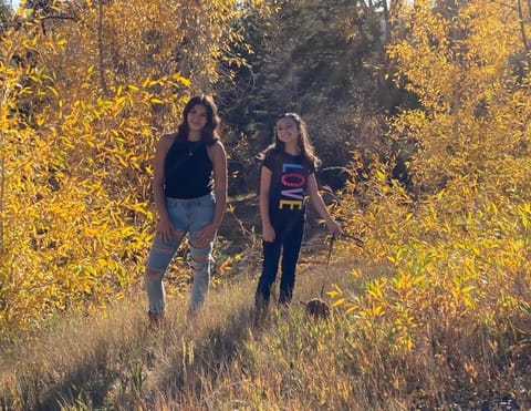 Vista Del Rio Lodge Hotel in Chama