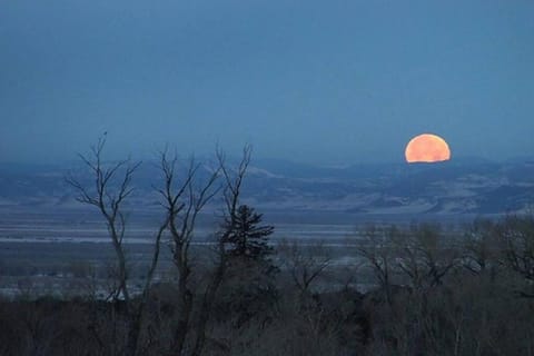 Stargate Room 2 Apartment in Crestone