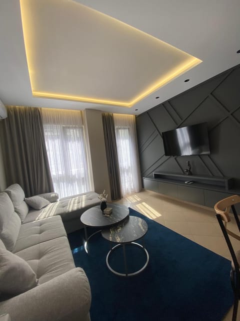 TV and multimedia, Living room, air conditioner