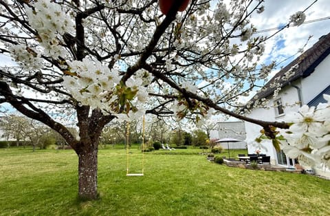 Spring, Garden, Garden view